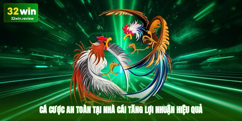 Cá cược an toàn tại nhà cái, tăng lợi nhuận hiệu quả