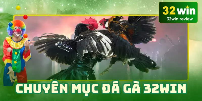 Giới thiệu về chuyên mục đá gà cho tân thủ 2025 