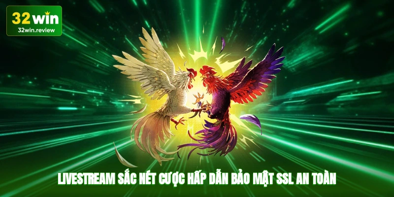 Livestream sắc nét, cược hấp dẫn, bảo mật SSL an toàn