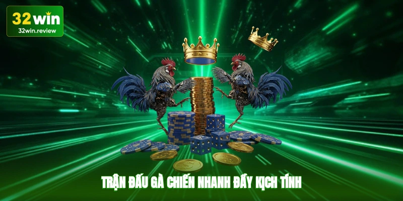 Trận đấu gà chiến nhanh, đầy kịch tính