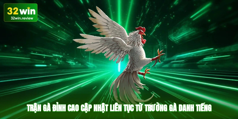 Trận gà đỉnh cao, cập nhật liên tục từ trường gà danh tiếng